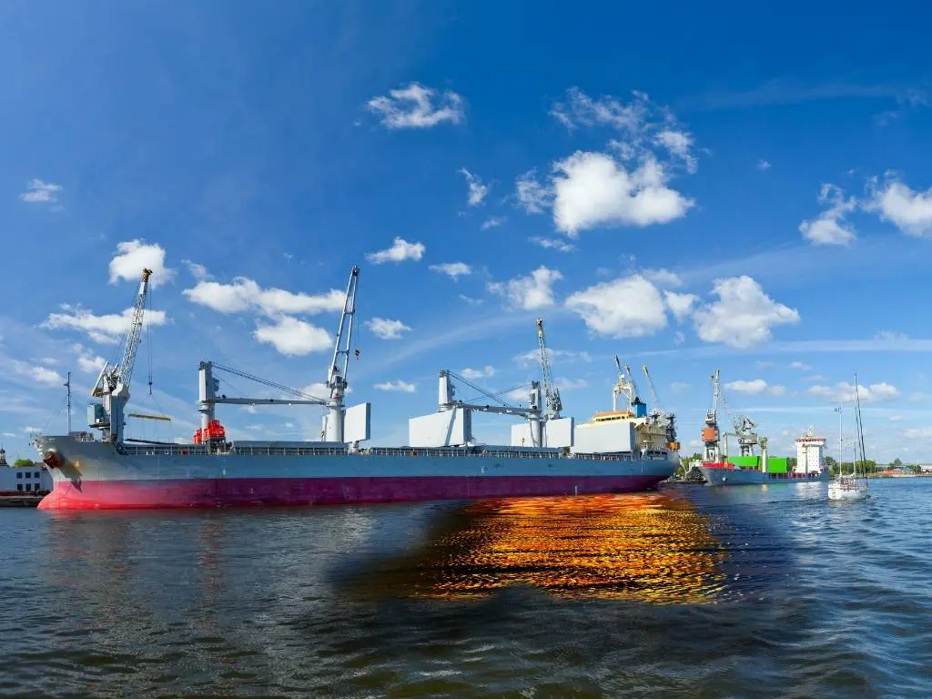 كيف يتم تنظيف تسربات النفط؟