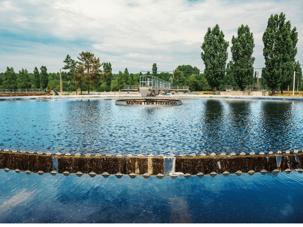 ترشيح خزانات المياه البحرية: الدليل النهائي للعناية بحوض المياه المالحة