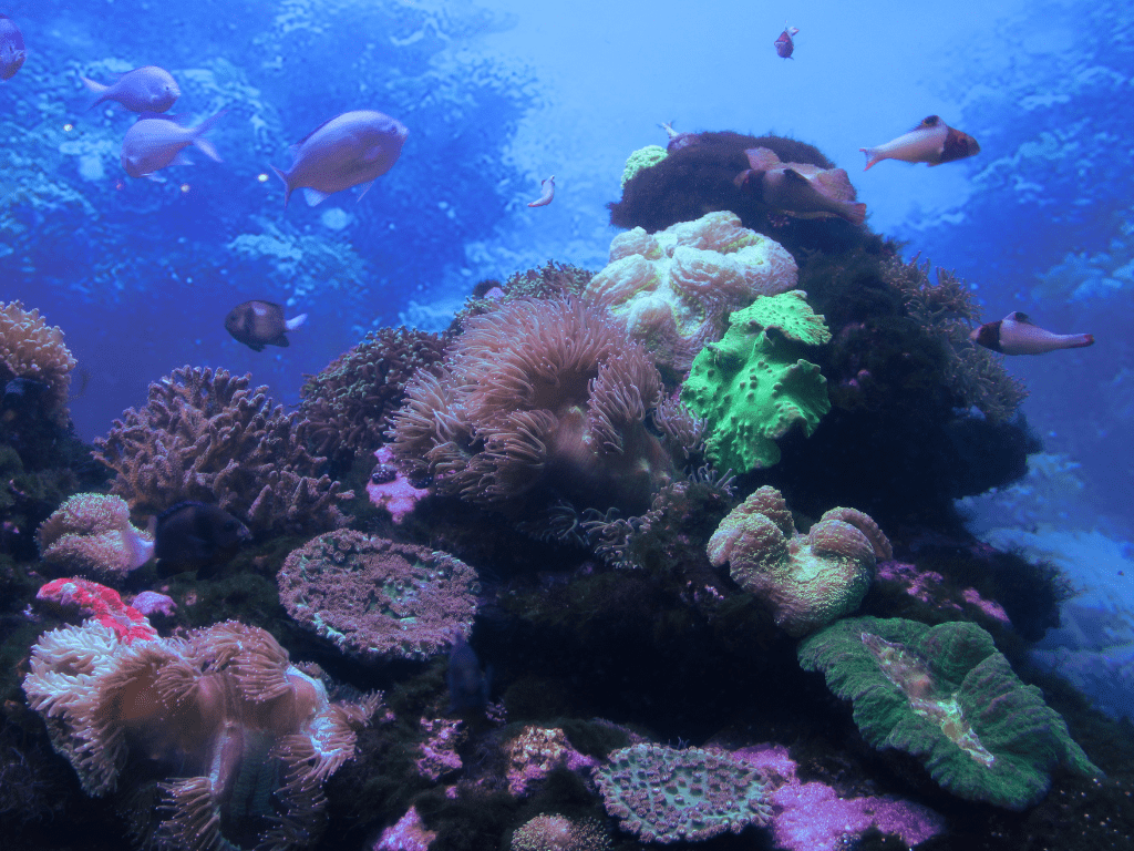 كيف يؤثر تسرب النفط على صناعة الصيد؟ دليل شامل