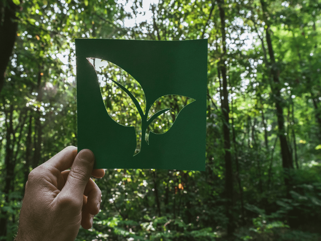 بقعة النفط على اليابسة: الأسباب، التأثيرات، والحلول