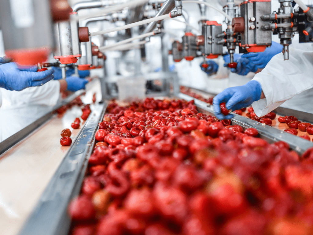 كيف تحافظ مصانع معالجة الأغذية على النظافة باستخدام منظفات غير سامة